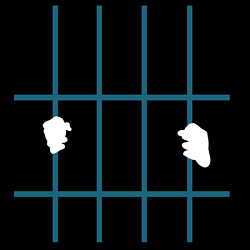 Blind Injustice image